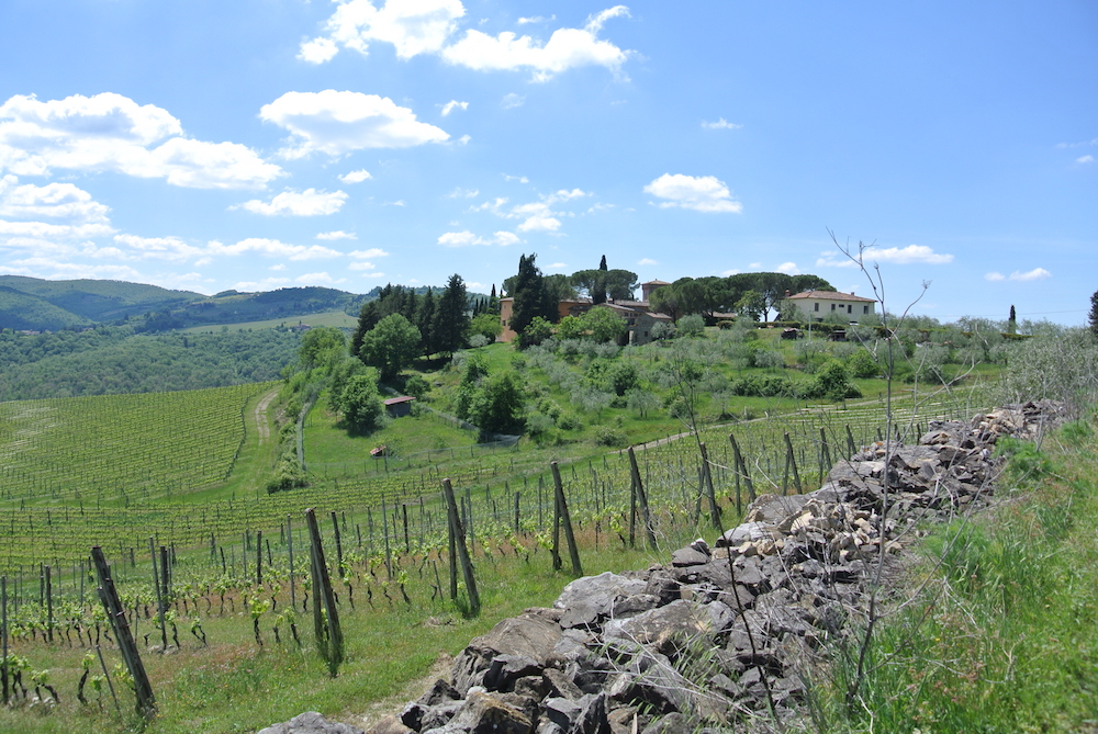 Il Castello dei Rampolla visto dalle vigne