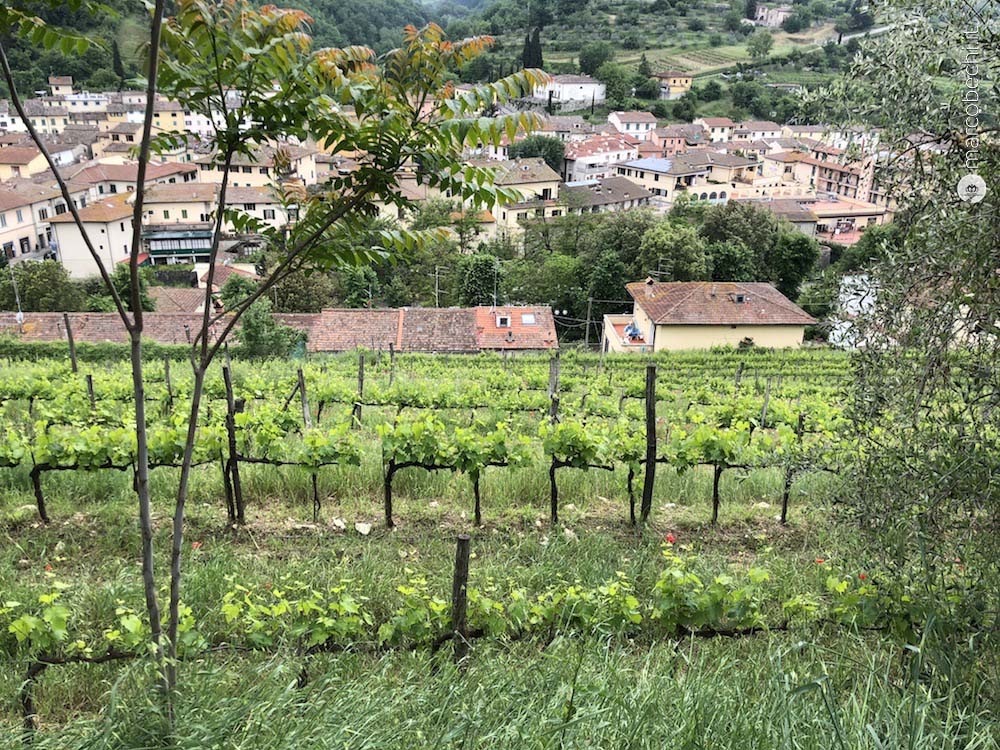 Le vigne terrazzate sull'abitato di Greve in Chianti