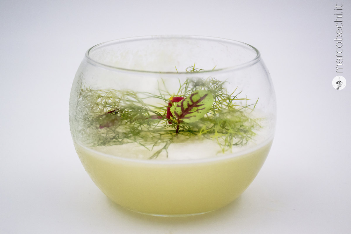 bicchiere ricoperto di polvere di zucchero al lime salato e all'interno gin, limone fresco, zucchero, yuzu e liquore ai fiori di sambuco