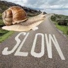 Chiocciola Slow