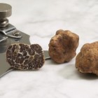 Il Treno Marzuolo e il tartufo  di San Giovanni d’Asso