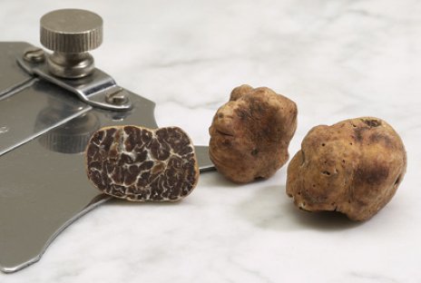 Il Treno Marzuolo e il tartufo di San Giovanni d’Asso
