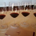 Ma che bel Brunello! Col d’Orcia Riserva Poggio al Vento
