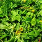 A TAVOLA CON LE ERBE (tre serate)