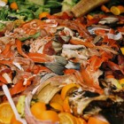 Slow Food si batte contro lo spreco alimentare