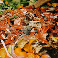 Slow Food si batte contro lo spreco alimentare
