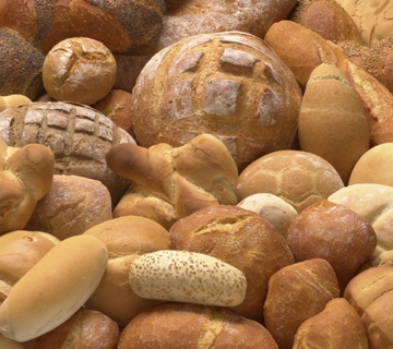 Pane, amore e Celiachia di Nicola Ulivieri 1^parte