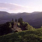 Monte Bernardi