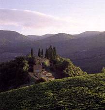 Monte Bernardi