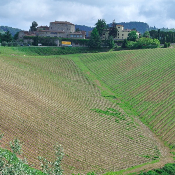 Rocca di Castagnoli
