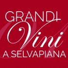 Grandi Vini a Selvapiana