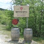 In giro per Cantine – Radda in Chianti – Monteraponi e Michele Braganti