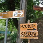In giro per Cantine – San Gimignano – Panizzi e Walter Sovran