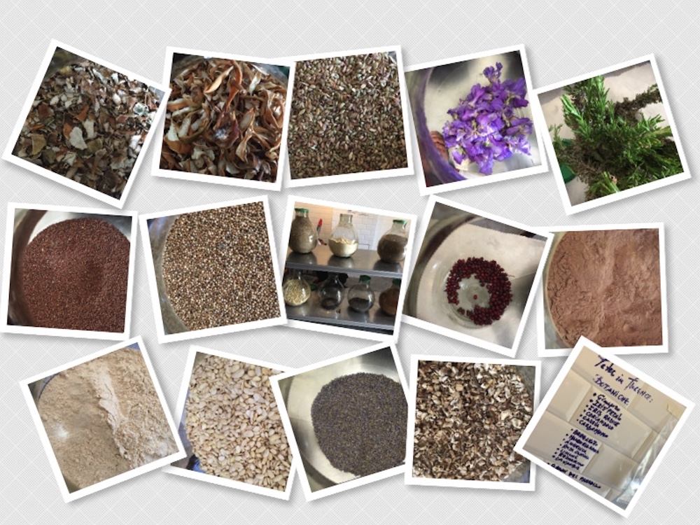 14 Botaniche sono impiegate per il Gin