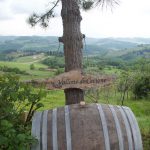 Vallone di Cecione
