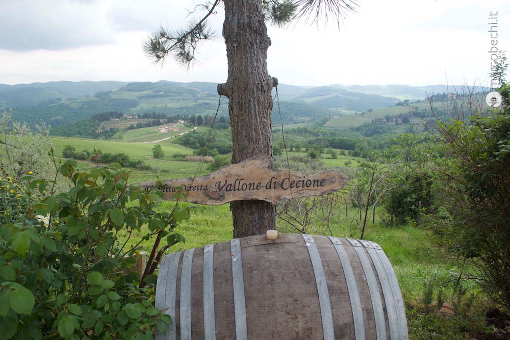 Vallone di Cecione