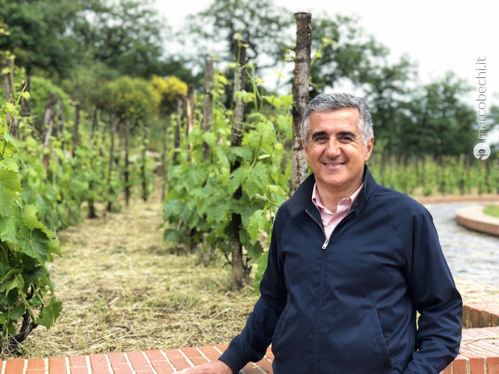 Giovanni Manetti di fronte ai vigneti accanto alla cantina