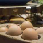 no Ovò Lovely Eggsperience