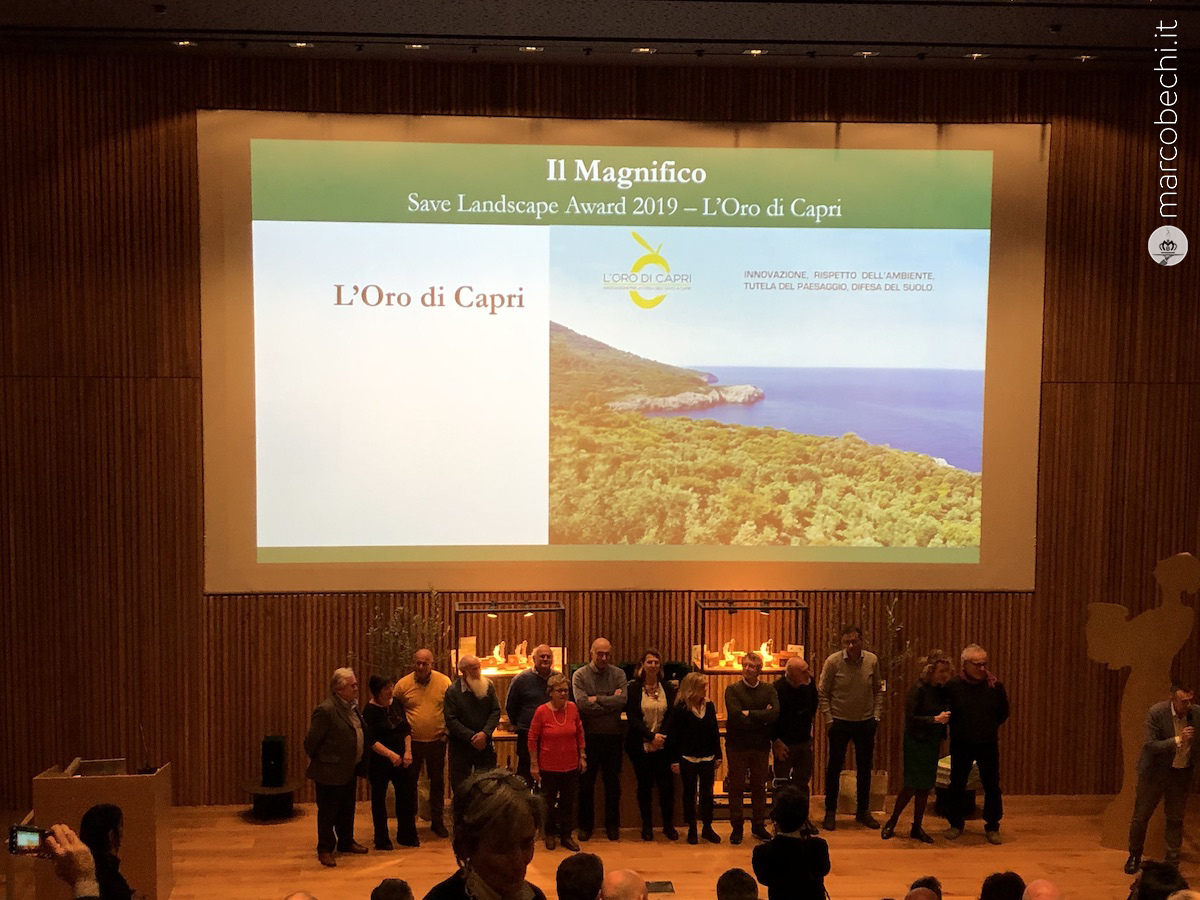 “Save the Landscape Project 2019” a Oro di Capri