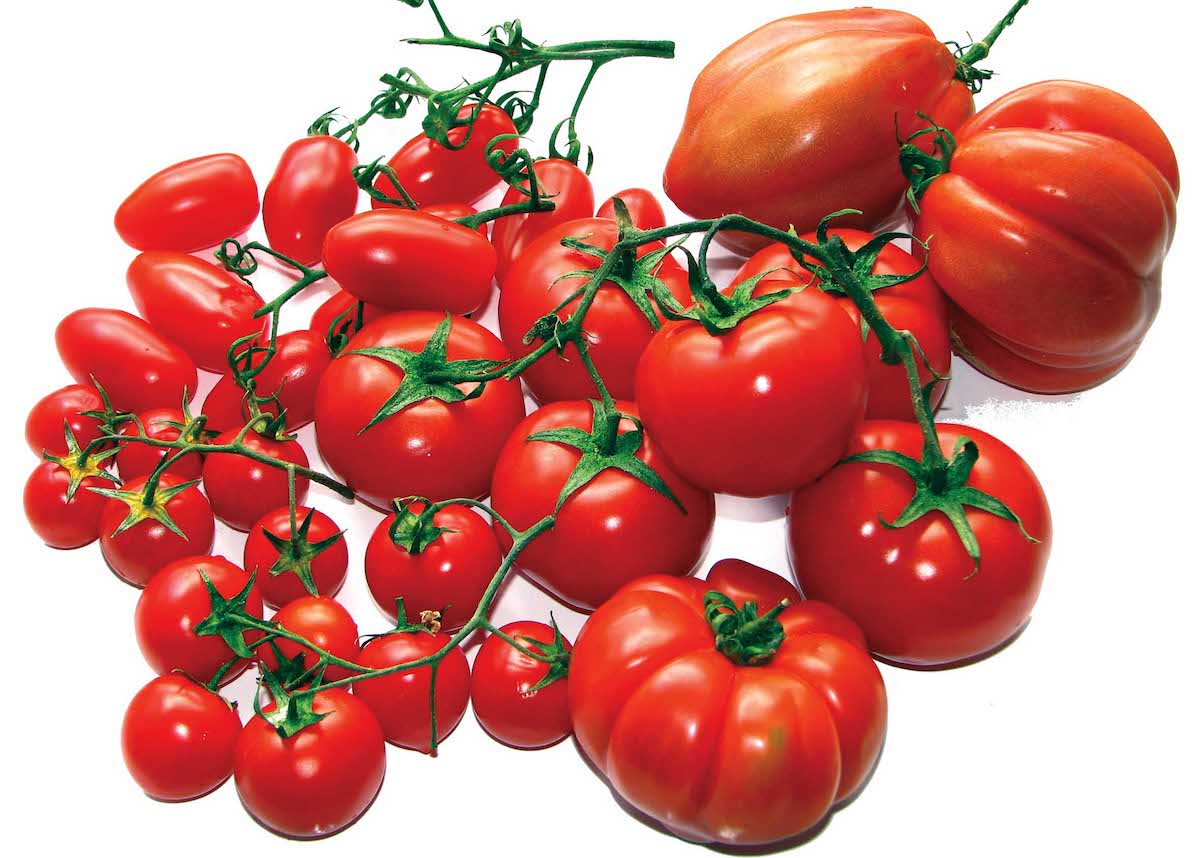Filiera del pomodoro, la Regione vuole un distretto toscano. Speriamo presto!