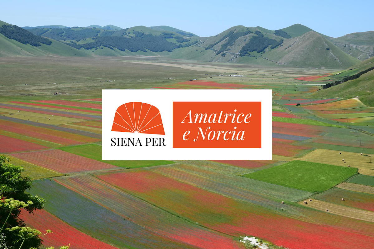 “Siena per” Amatrice e Norcia e, in contemporanea, “Emergente Sala” dal 31 maggio al 2 giugno