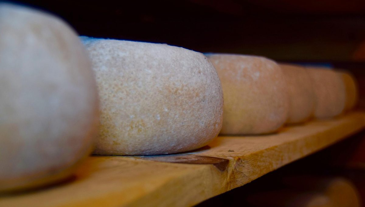 Formaggi di piccoli produttori umbri