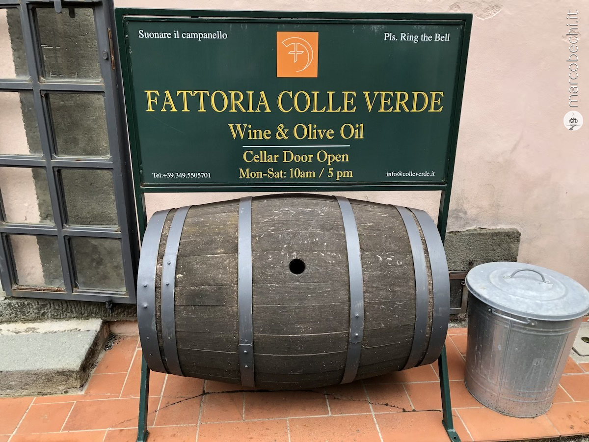 Cantine in Toscana – Capannori (LU) – Fattoria di Colleverde