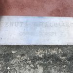 Cantine in Toscana – Capannori (LU) – Tenuta di Valgiano