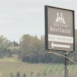 Rocca di Montemassi, il vino, la sostenibilità e le Vacche Maremmane
