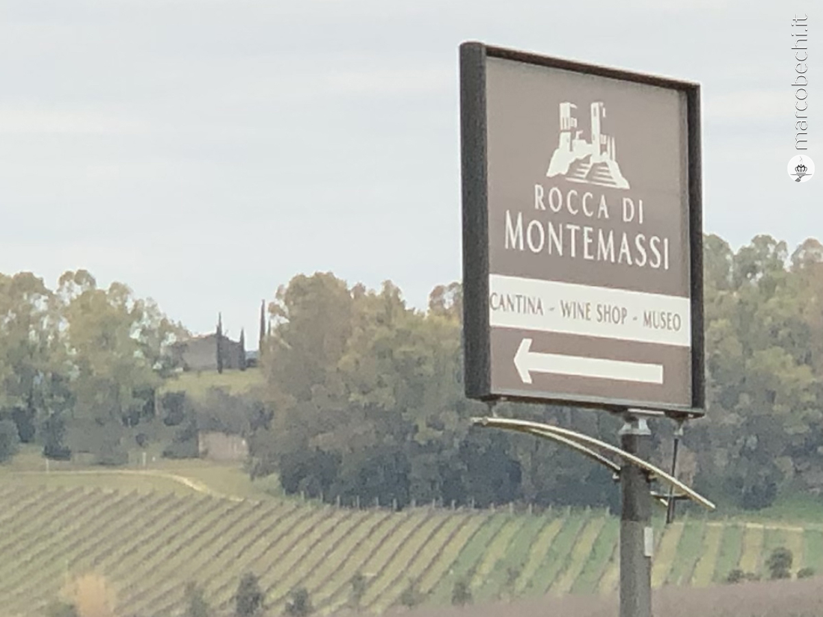 Rocca di Montemassi, il vino, la sostenibilità e le Vacche Maremmane