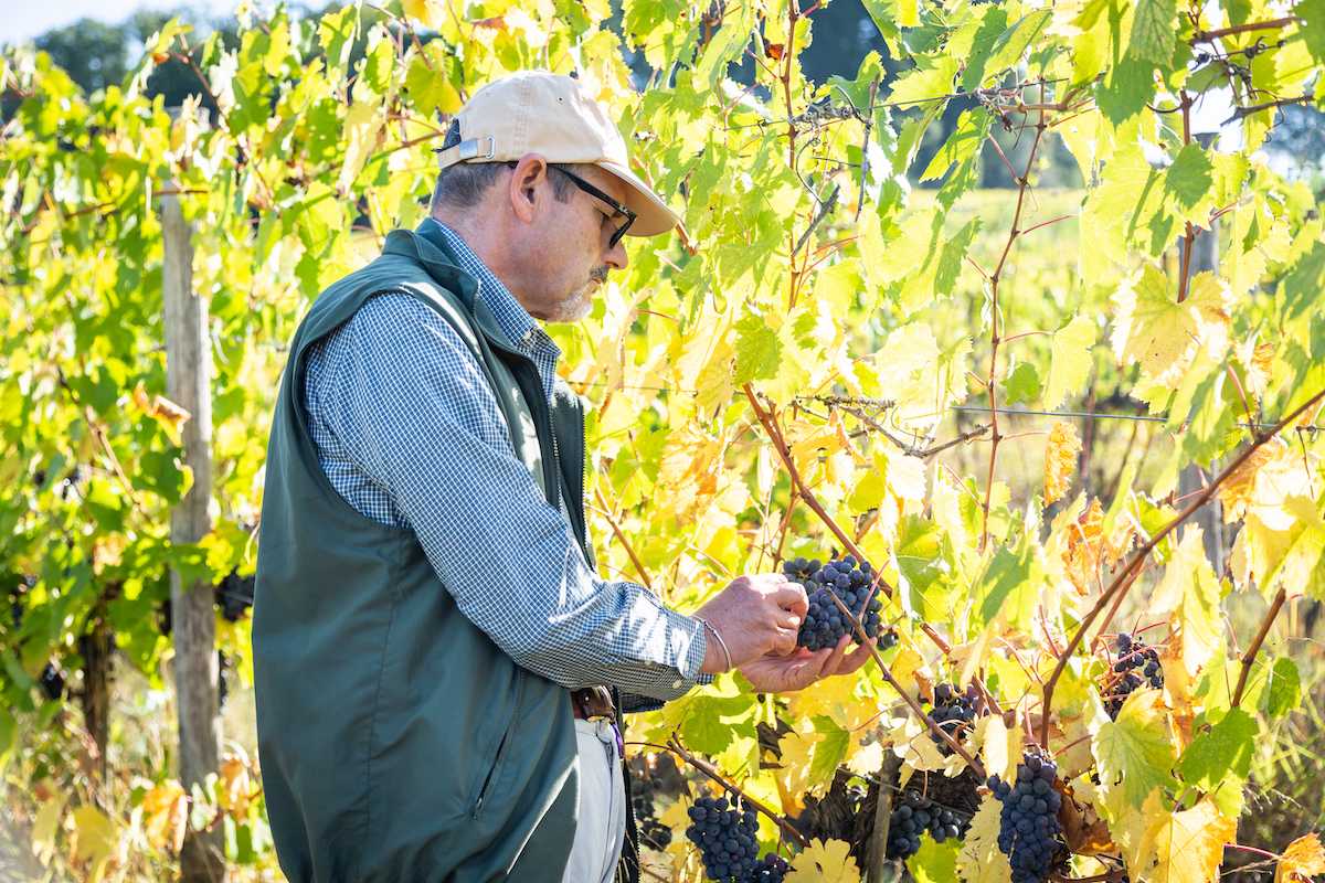 Fabrizio Balò, responsabile della parte agronomica