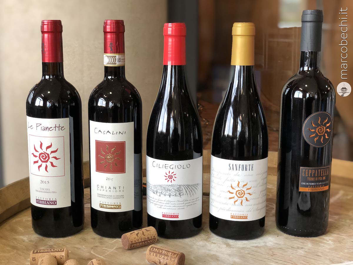 Cantine in Toscana – Terricciola (PI) – Fattoria di Fibbiano