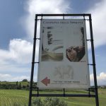 Cantine in Toscana – Terricciola (PI) – Casanuova della Spinetta
