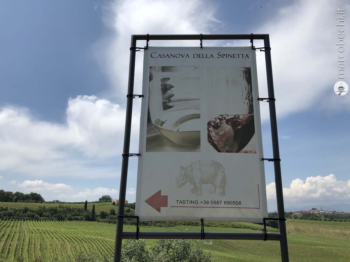 Cantine in Toscana – Terricciola (PI) – Casanuova della Spinetta