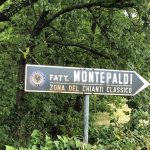 Villa Montepaldi a San Casciano Val di Pesa – una  fattoria dalle nobili origini medicee