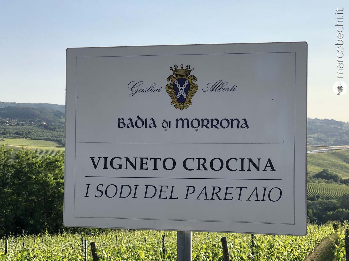 Cantine in Toscana - Terricciola (PI) - Badia di Morrona