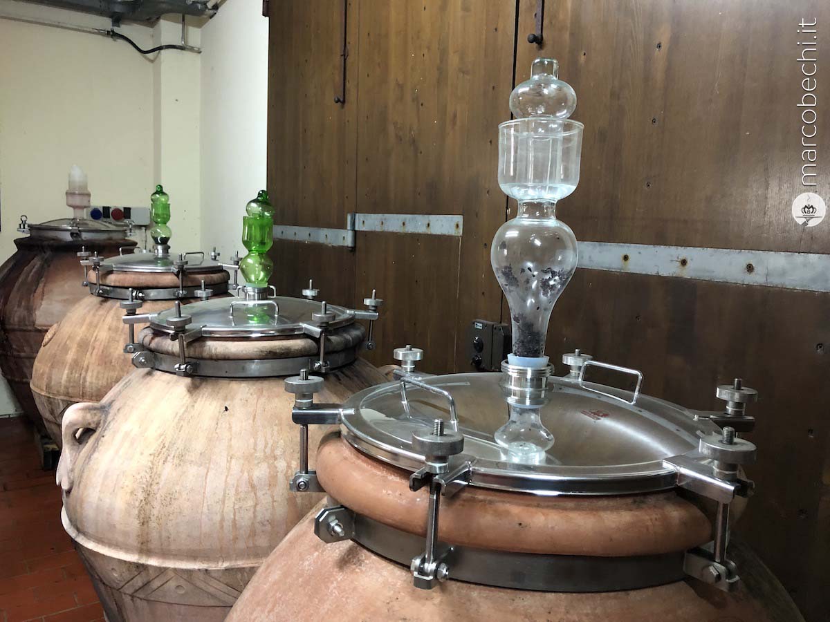 I vini in anfora del Borro