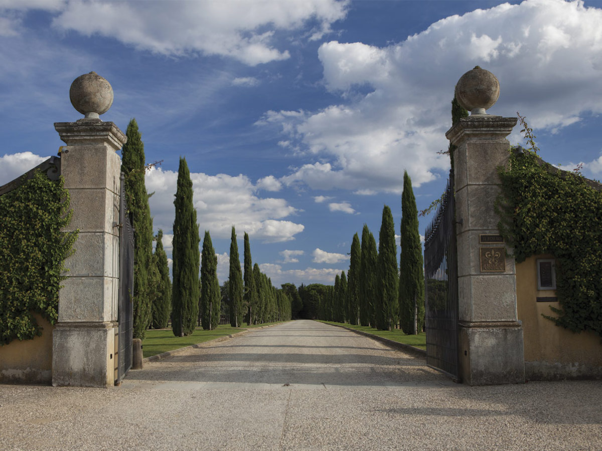 L'ingresso della Tenuta ph by Il Borro