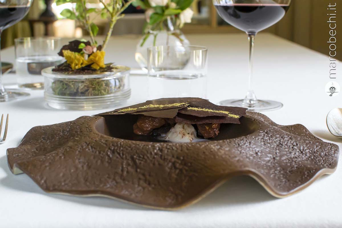 Sottobosco, pino, cremoso al cioccolato, nocciola