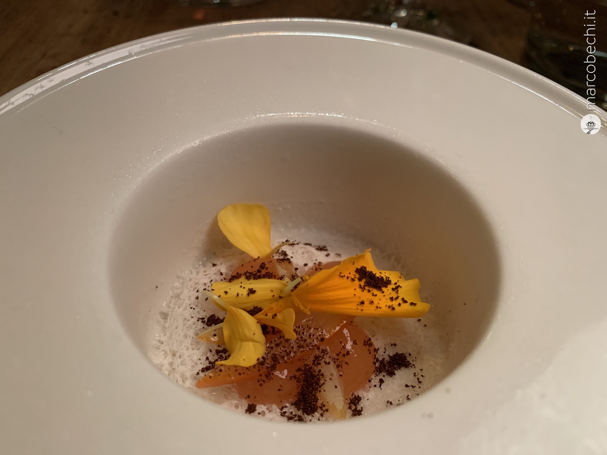 Caffè, cardamomo e agrumi confit