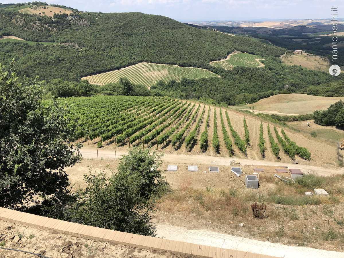 I vigneti intorno al corpo aziendale di Mastrojanni