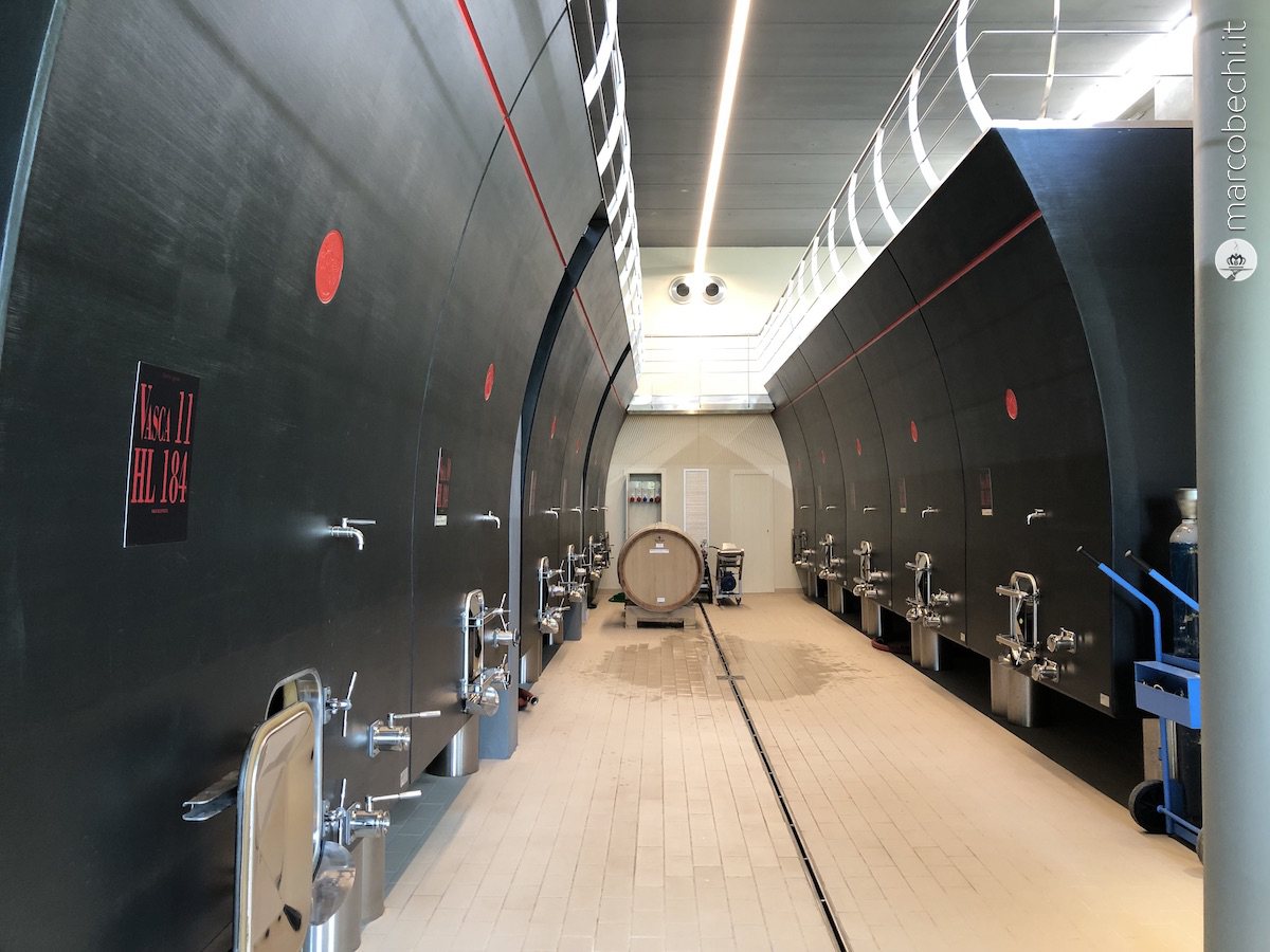 La nuova cantina con i tini di nuova concezione