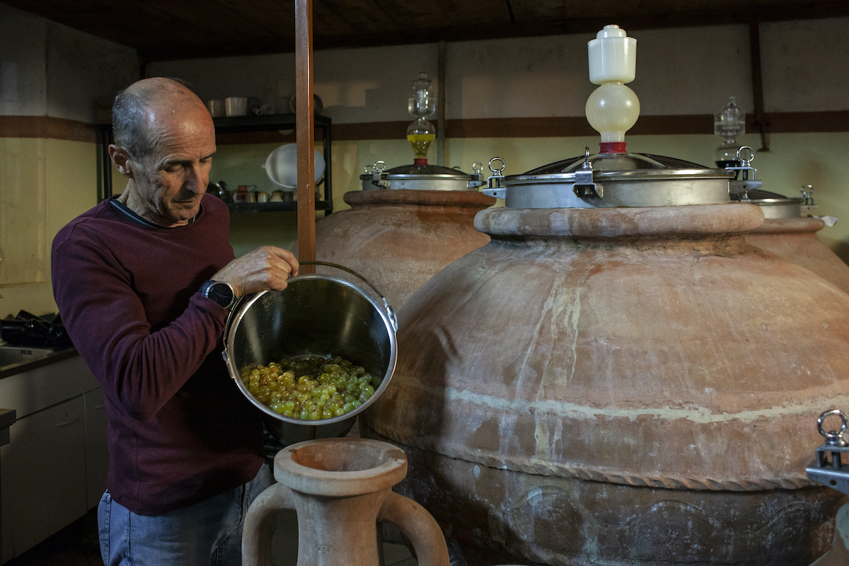 Antonio Arrighi e le anfore con il Nesos