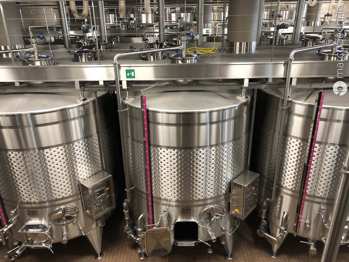 La cantina di vinificazione di Vallepicciola