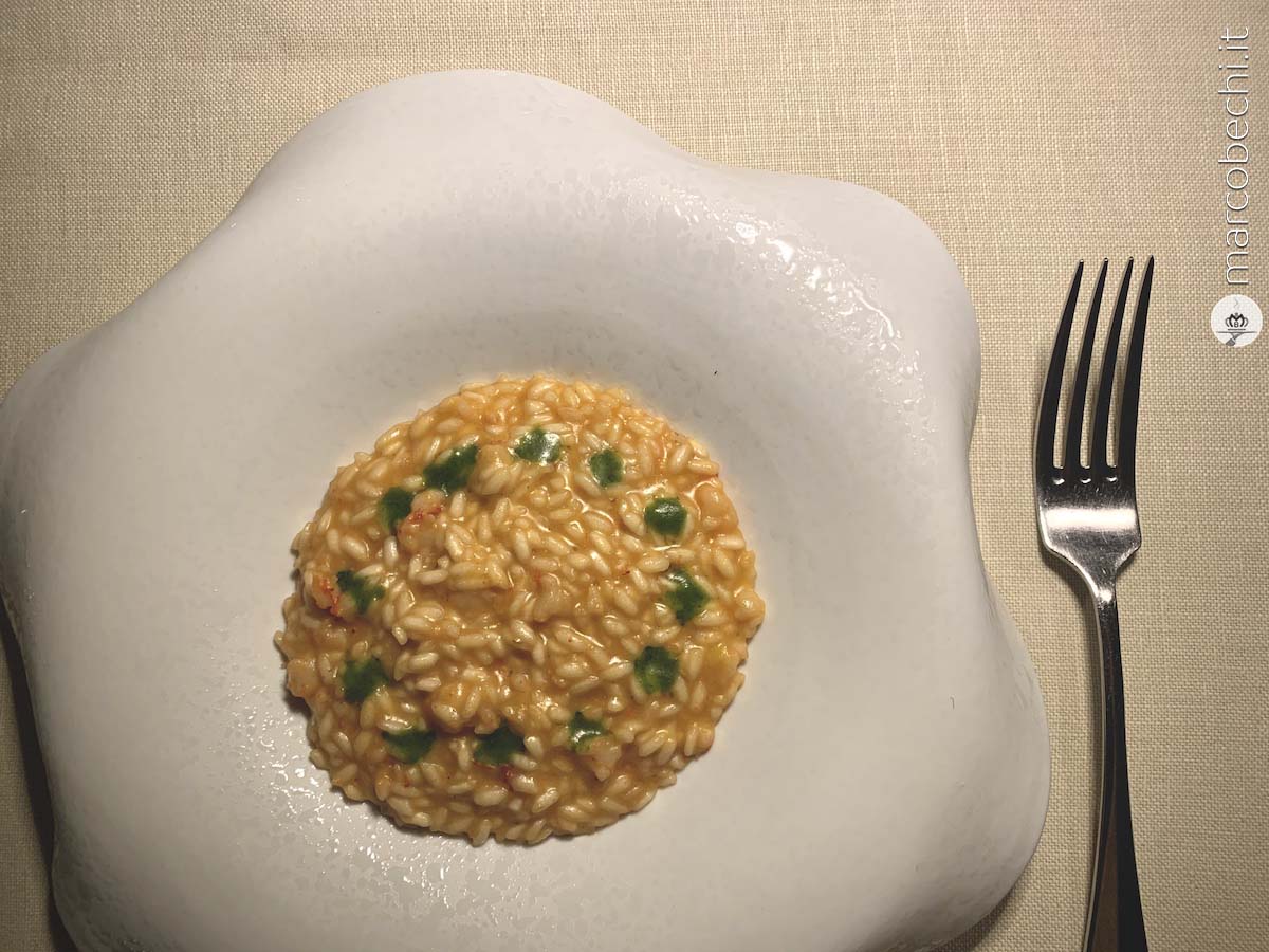 Risotto gambero rosso e limone