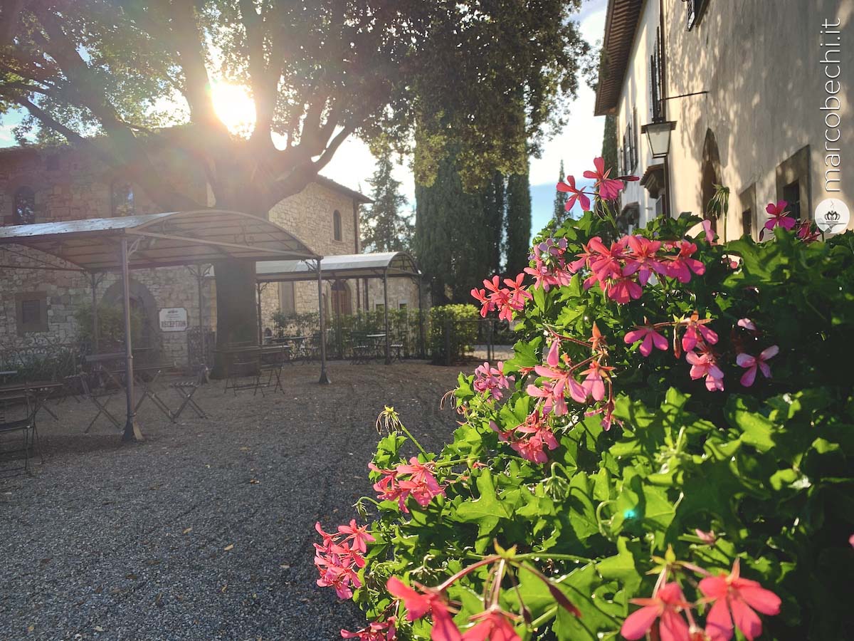 Un angolo del giardino del Castello di Vicchiomaggio a Greve in Chianti, la storia e l'accoglienza della famiglia Matta