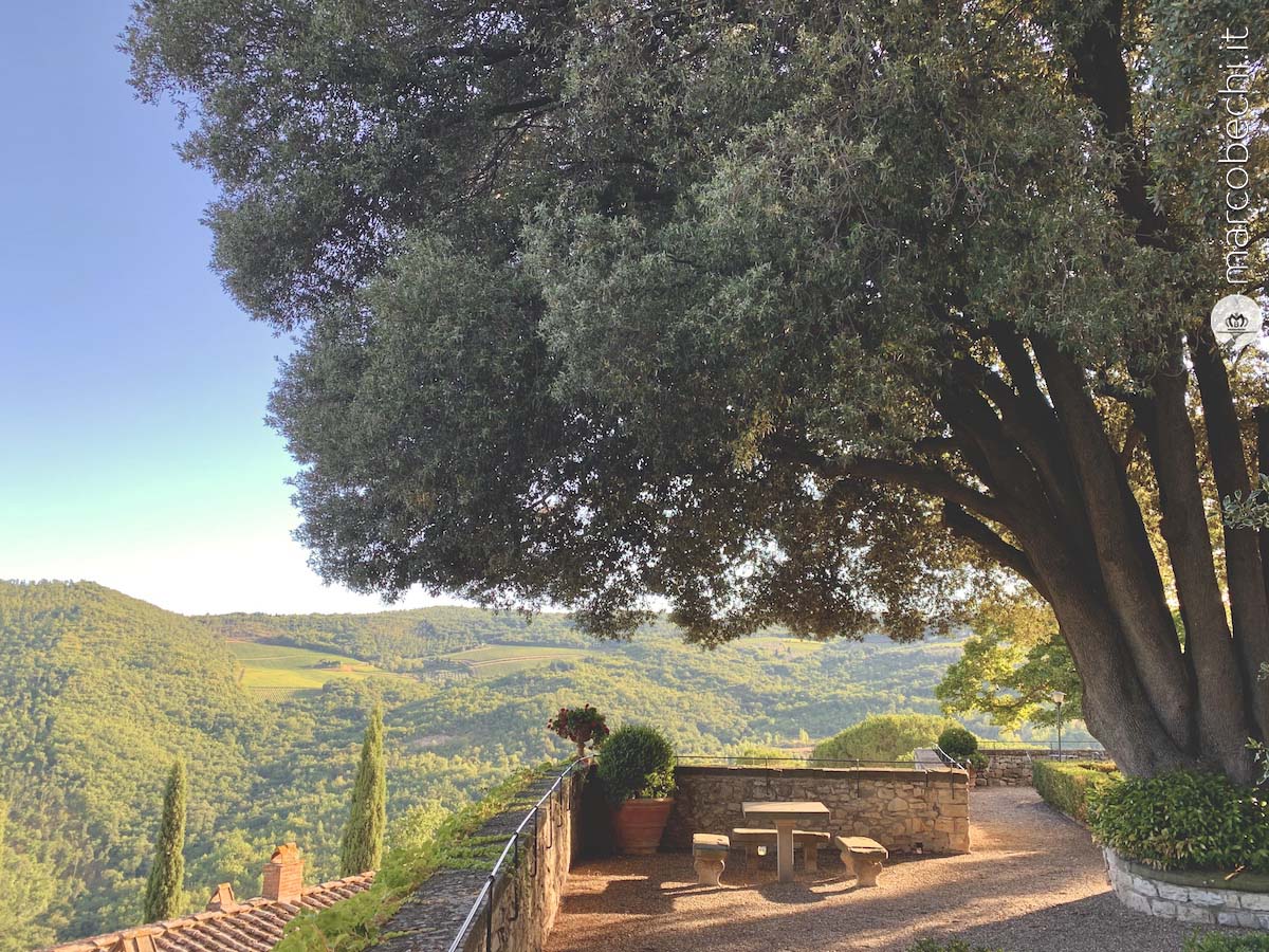 Un angolo del giardino del Castello di Vicchiomaggio a Greve in Chianti, la storia e l'accoglienza della famiglia Matta