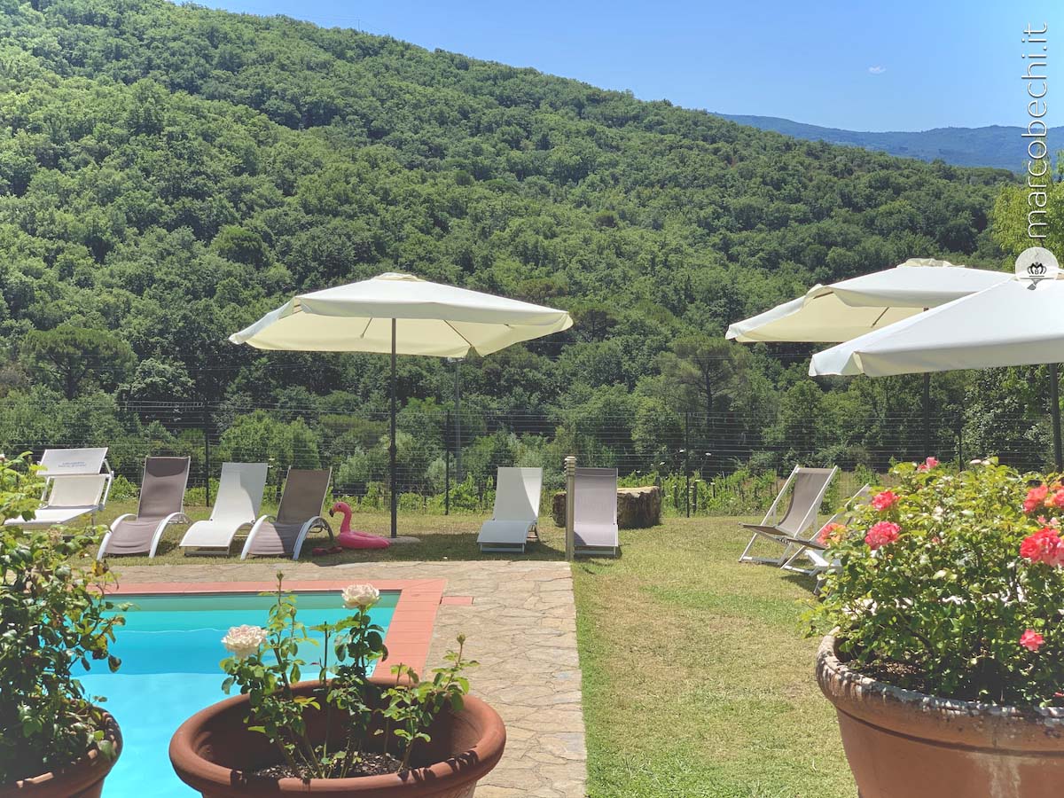 La piscina della Fattoria Santo Stafano