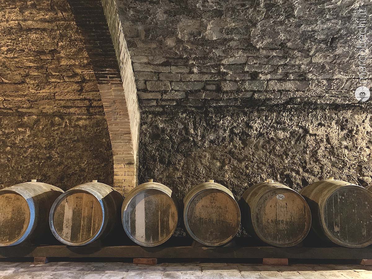 La cantina della Fattoria Santo Stefano