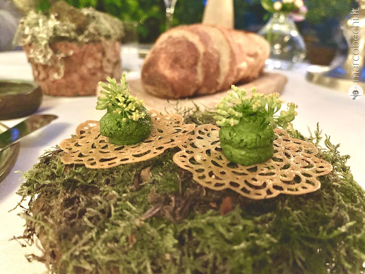 Benvenuto di tartelette di funghi Porcini e Carote, Pesto di Basilico e sfera di Pomodoro fermentato di Meo Modo